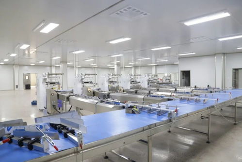 縣長閆龍虎現場調度重點項目 三網二期工程建設工作